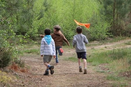 1ère semaine de Carême : chercher la paix et la poursuivre (Ps 33)